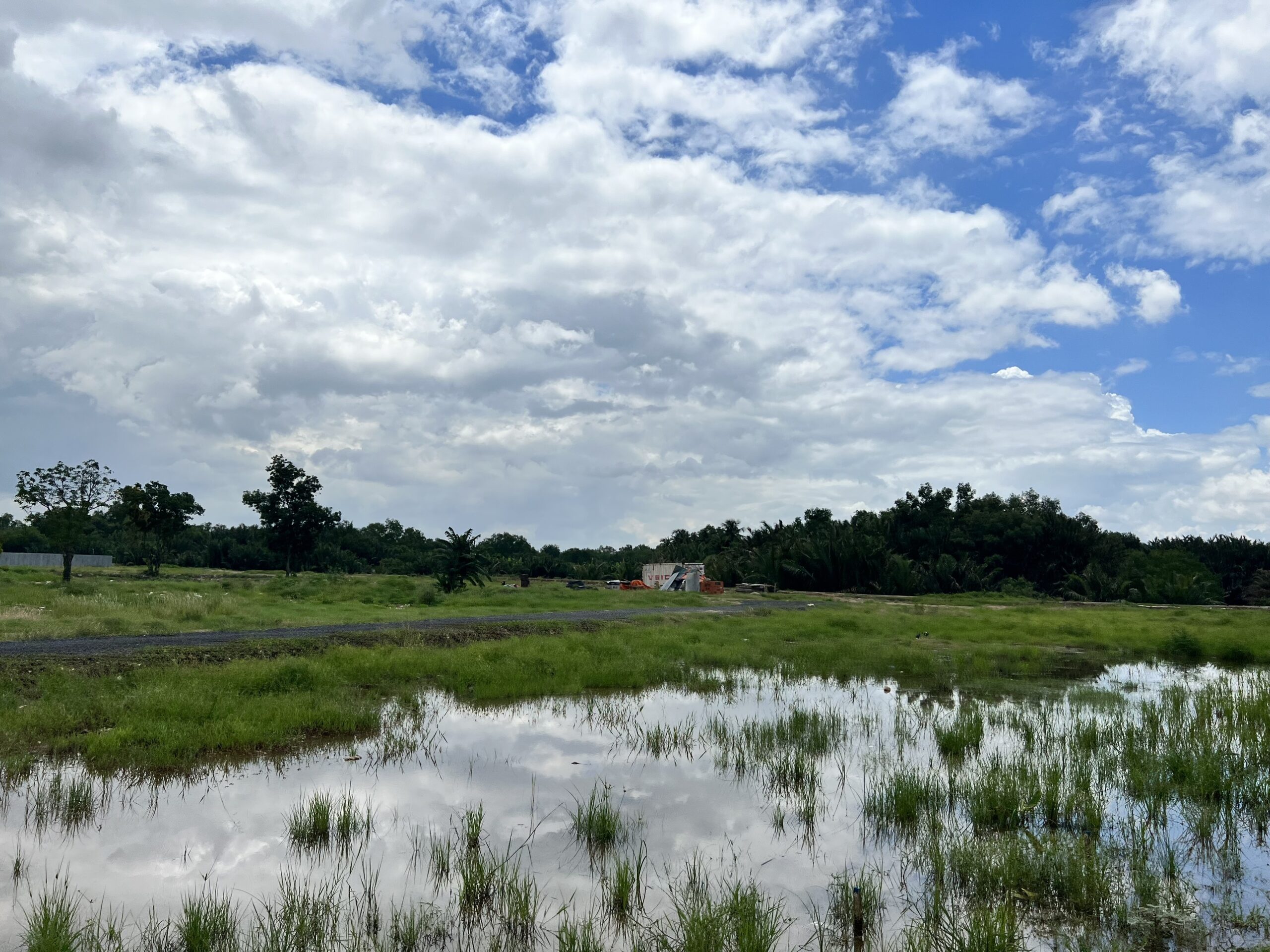 Eaton Park Mai Chi Tho District 2 Image of Gamuda Land Mai Chi Tho 7 scaled project - Eaton Park Mai Chi Tho District 2