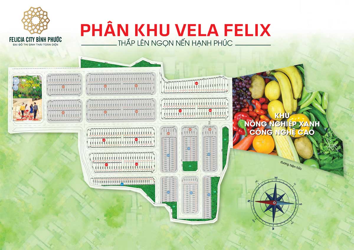 Vela Felix subdivision plan Felicia City Binh Phuoc project