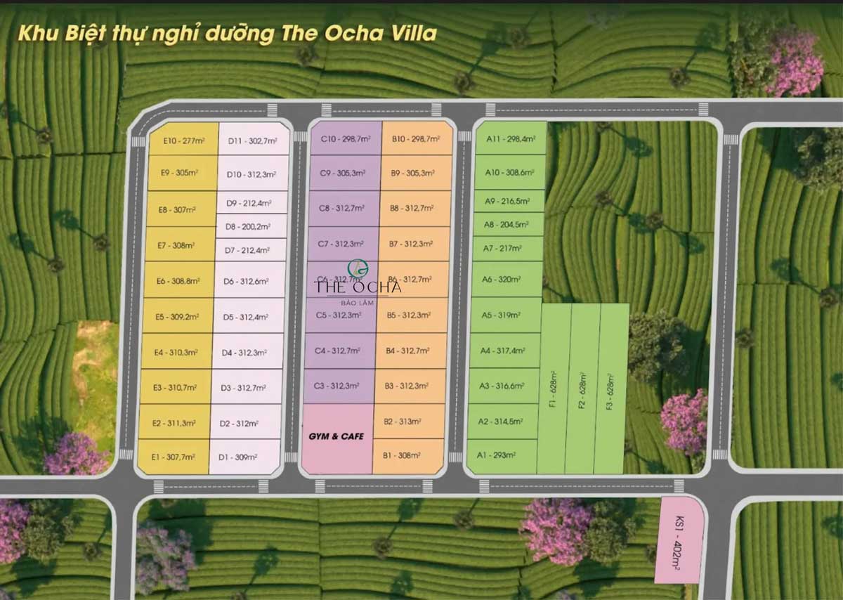 Plot Plan of The Ocha Bao Loc Project Plot Plan of The Ocha Bao Loc Project