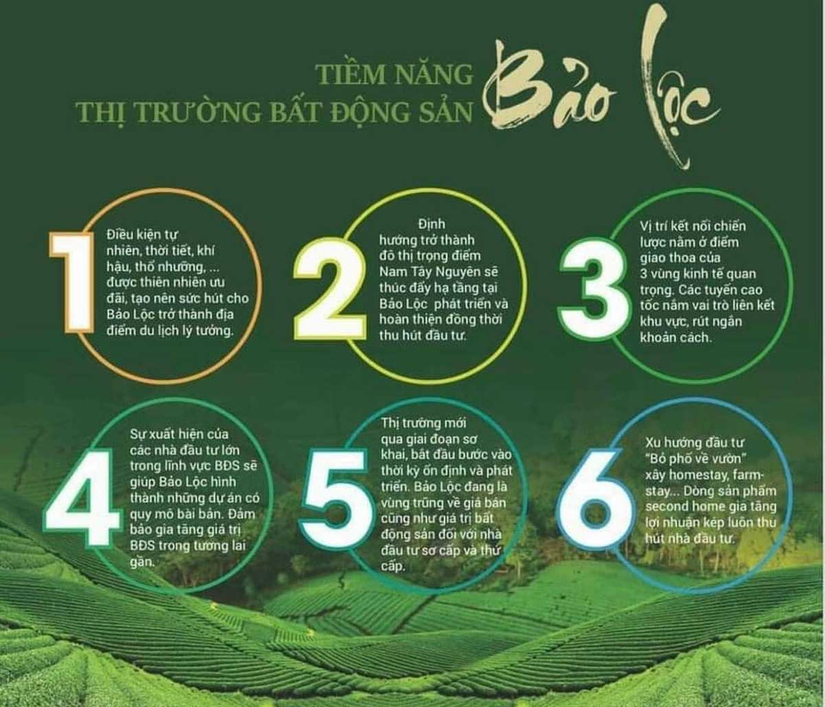 Bao Loc Real Estate Market Potential Bao Loc Real Estate Market Potential