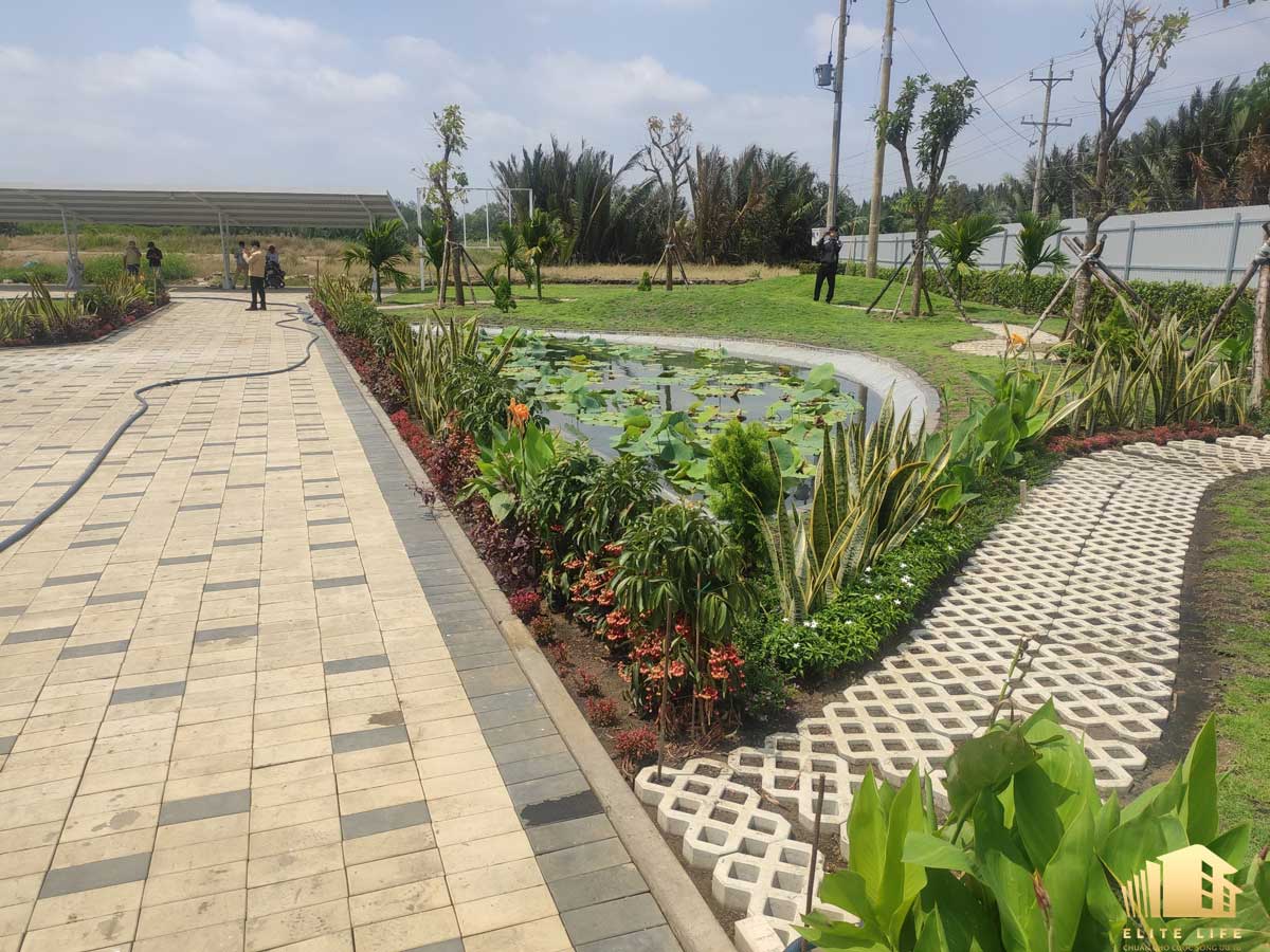 Nhà điều hành dự án Elite Life Nhà điều hành dự án Elite Life