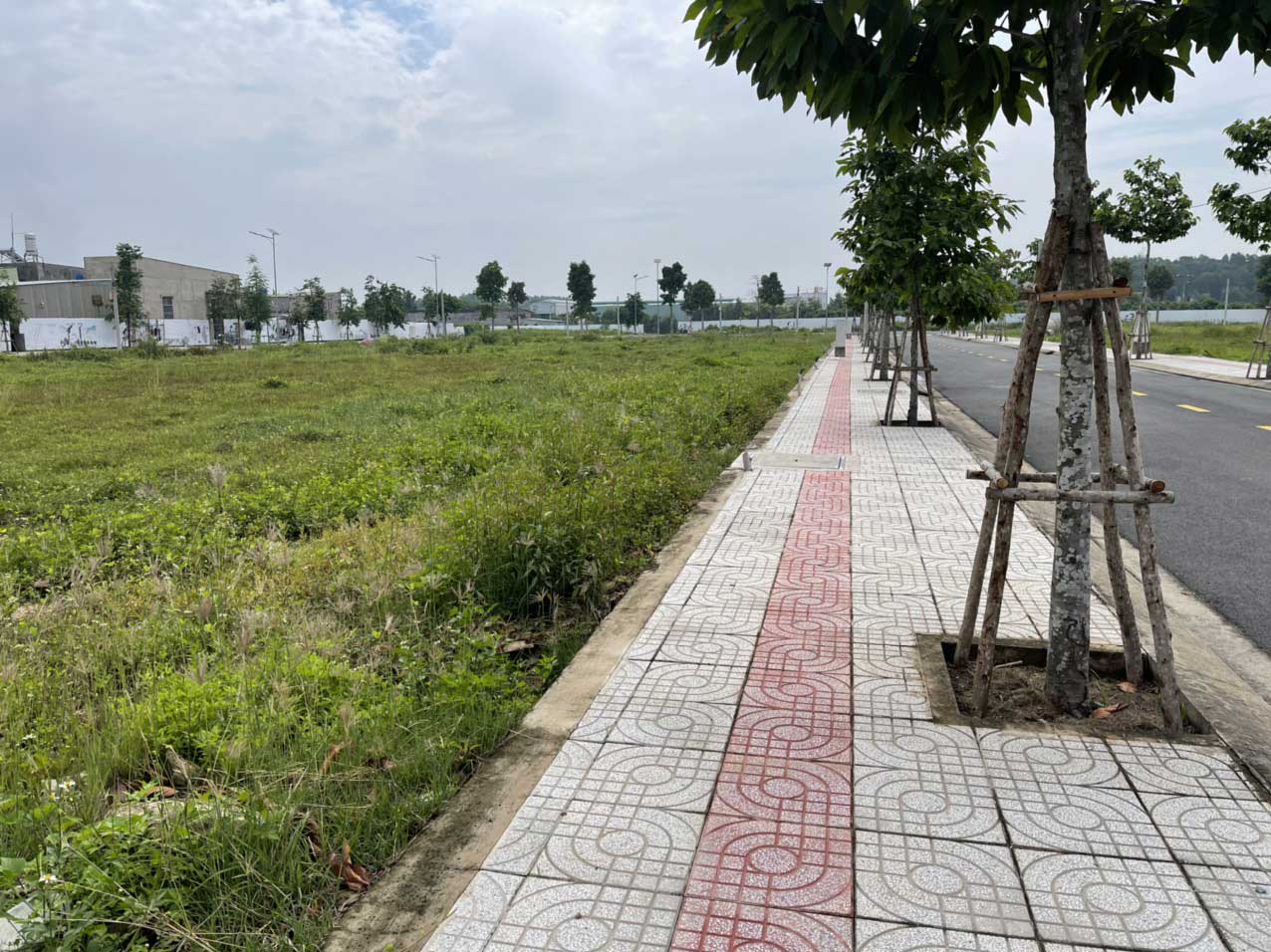 The Meadow Binh Chanh Construction progress of Gia Phu Residential Area Project, Binh Chanh 2022 - The Meadow Binh Chanh