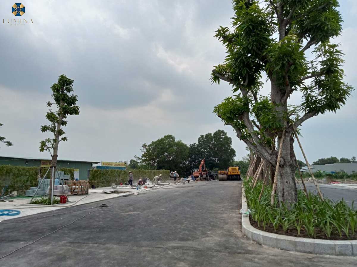 Construction progress of Lumina Grand Square Can Giuoc project